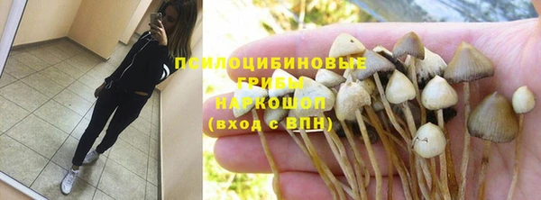 дживик Горнозаводск