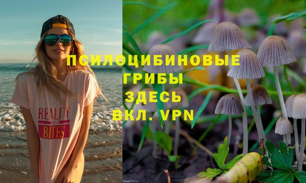 дживик Горнозаводск