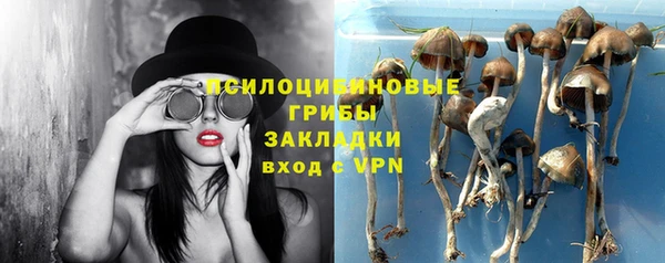 амф Горно-Алтайск
