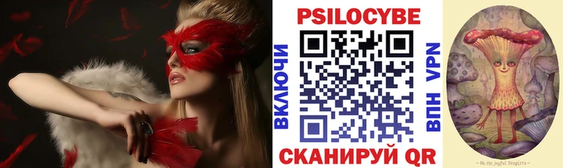 цены Меленки Псилоцибиновые грибы MAGIC MUSHROOMS